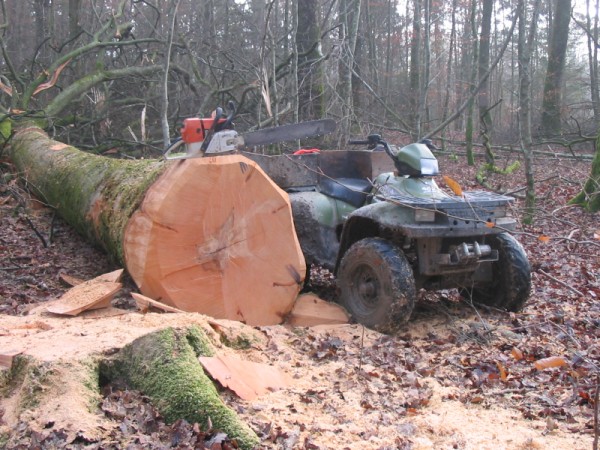 exploitant forestier