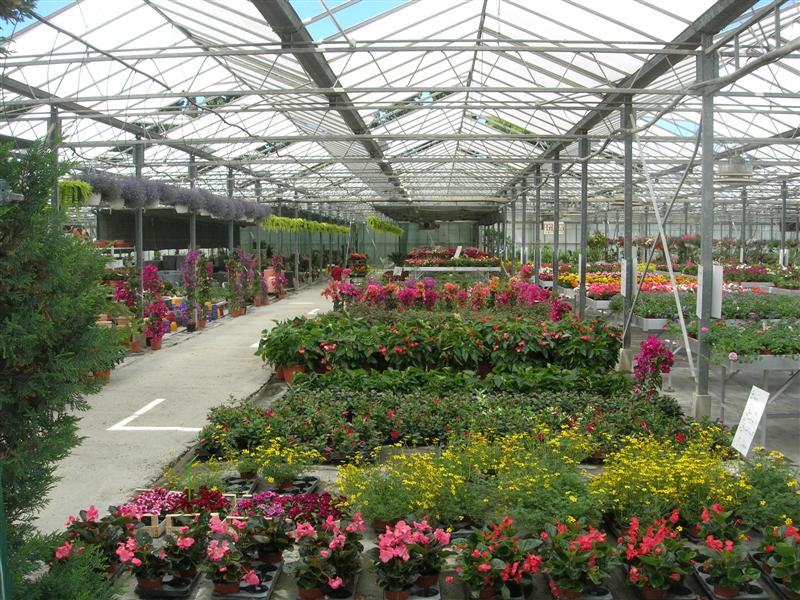 horticulteur